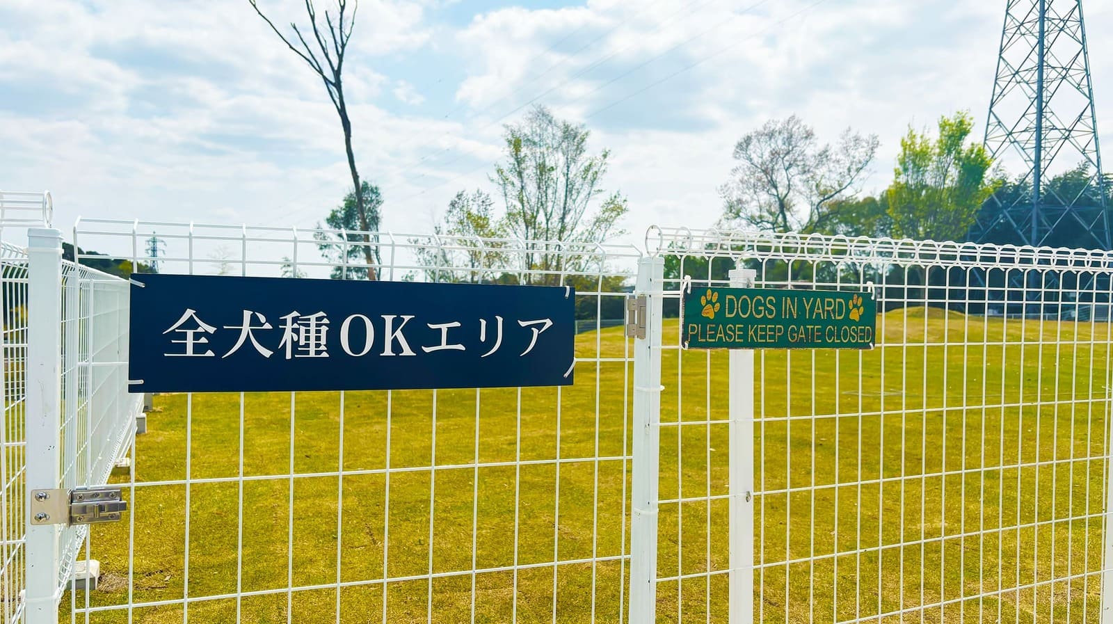 ドッグラン入り口