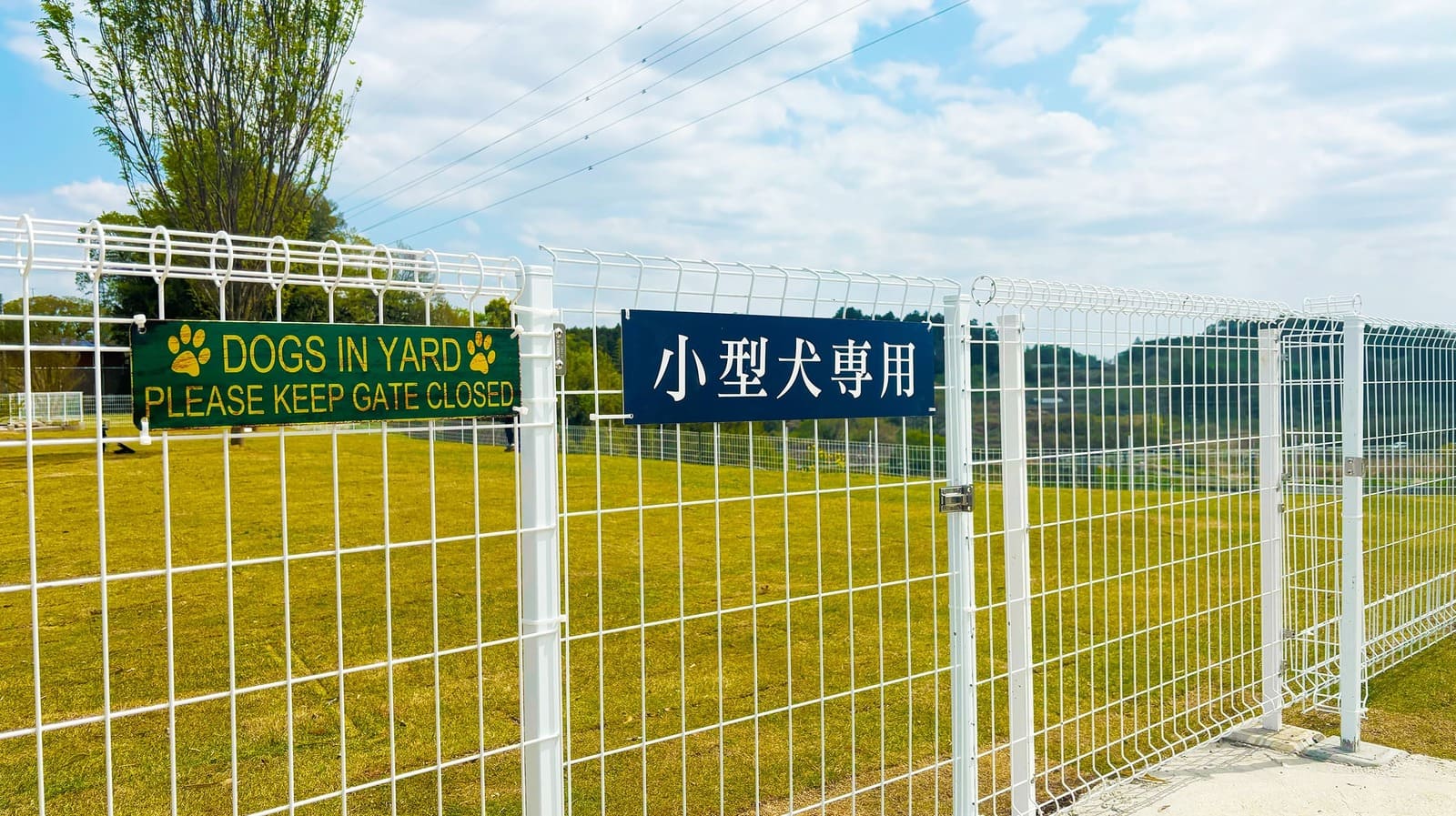 ドッグラン入り口